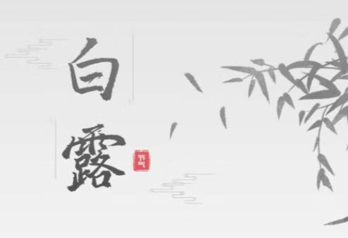 「今日白露」温补脾阳祛寒湿，早晚保暖别贪凉