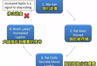 为什么有人健身1个月却胖了10斤？