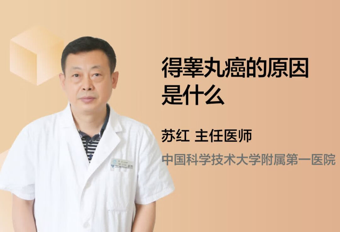 得睾丸癌的原因是什么？