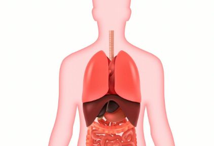 容易导致肾虚的5个原因