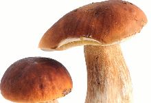 频繁出现感冒，常吃7种食物，多做6件事