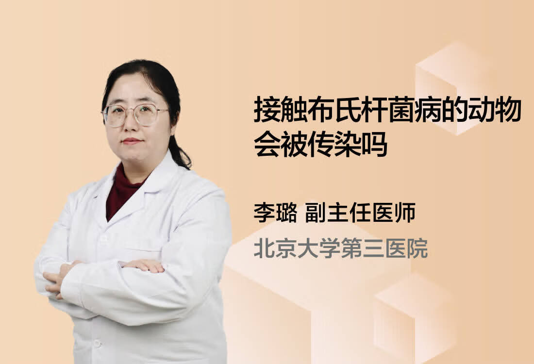 接触布氏杆菌病的动物会被传染吗？