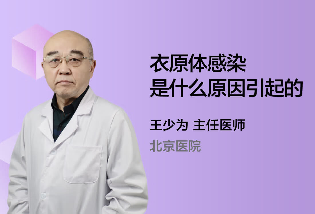 衣原体感染是什么原因引起的？