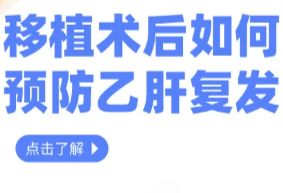 移植术后如何预防乙肝复发？这项检测要做好