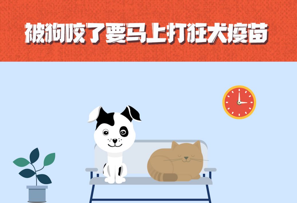 打狂犬疫苗的这些误解，你有过吗？